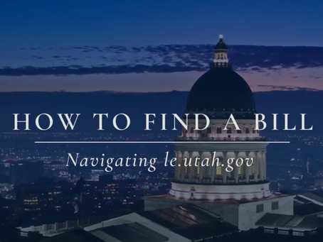 How to: Participate in this General Legislative Session