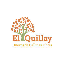 quillay.jpeg