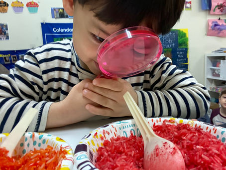 Discover Engaging Programs for Children: Kids Educational Activities That Spark Joy