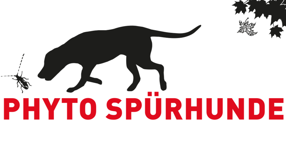 Spürhnde