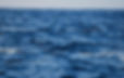 ocean.jpg