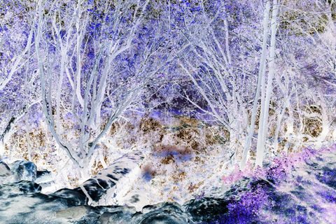 contemporary photography, art, award, landscape, photography