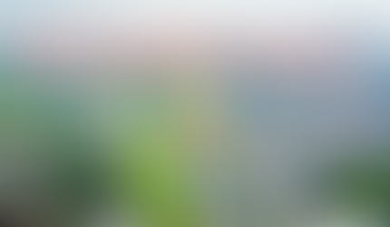 Thiết kế website tại quận 9