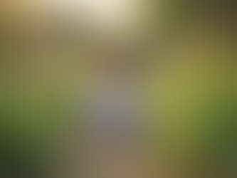 Supporting Holistic Education Wellbeing and Fostering a Sense of Lifelong Learning