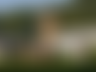 Get Ready for the 17th Istanbul Biennial