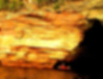 Sunset tour at the mainland sea caves