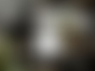 A Holiday Gift Under $25