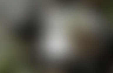 A Holiday Gift Under $25