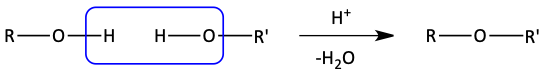 Bimolecular dehydration