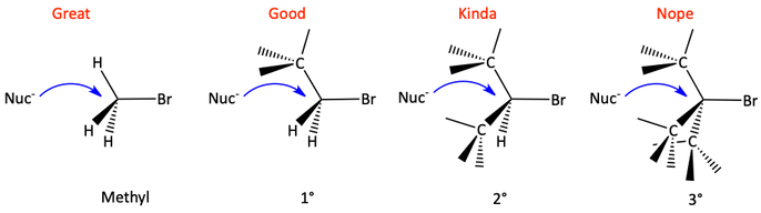 bckside.png