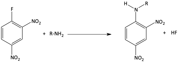 Addition Elimination with a fluoride leaving group