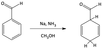 Birch reduction position