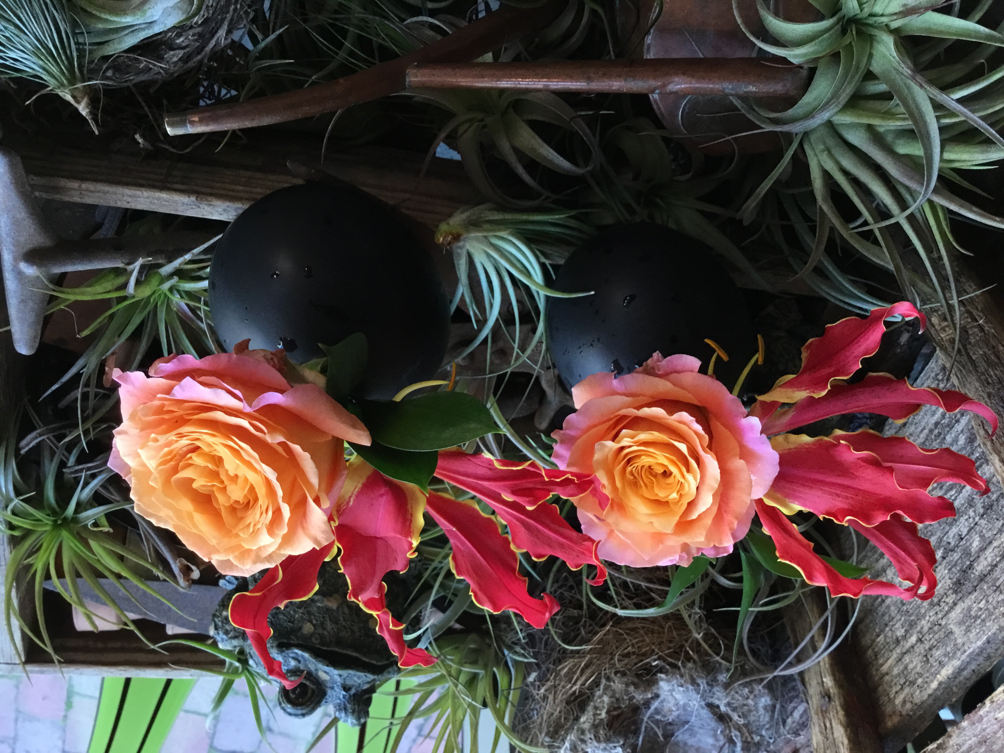 Petali Flowers Harvard Square, Cambridge Florist