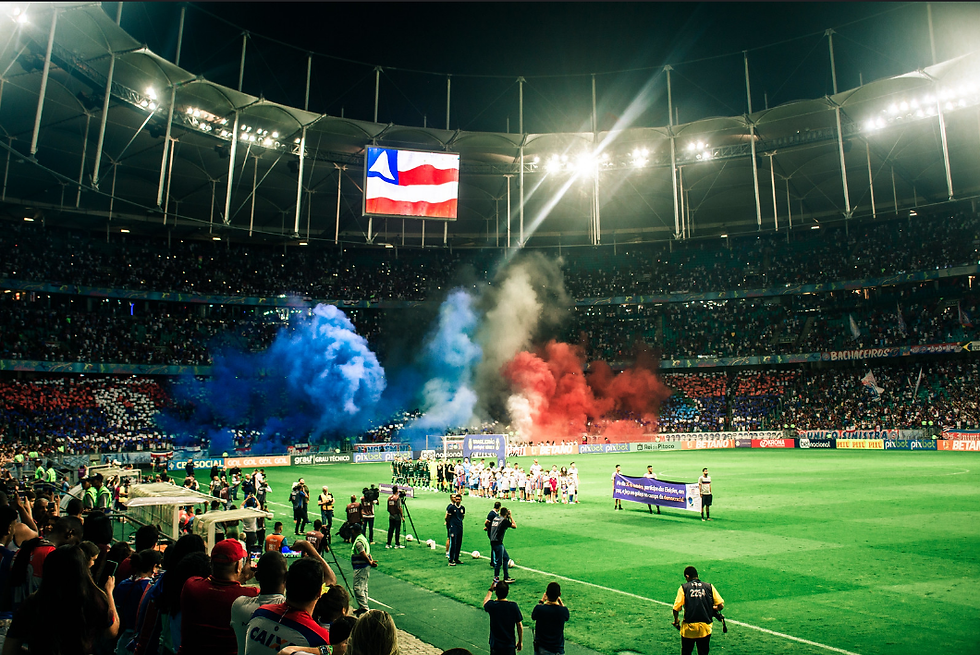 Torcida do Bahia comemorando título sob comando de Rogério Ceni