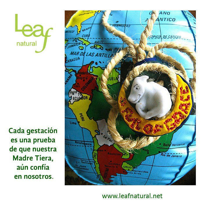 gestación