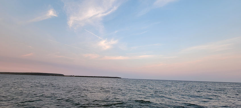 20241003_070818.jpg