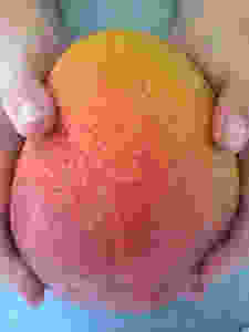 The mango of all mangos.