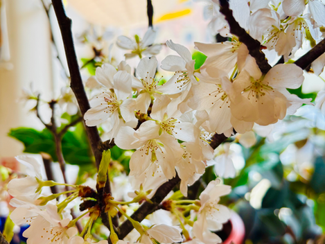 Sakura with Gold Leaf