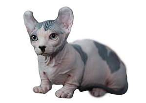 A4756B5E-5DF9-4B6B-A16E-545CE3549987_edited.png