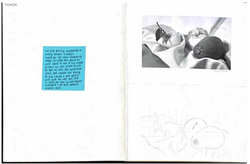 Drawing Sketchbook Example01