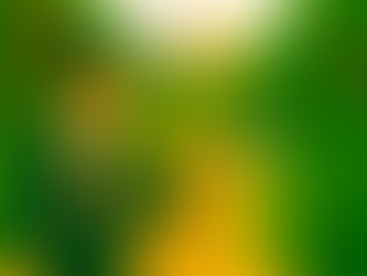 Setting Your Sites: Five Targets for Your Financial Future