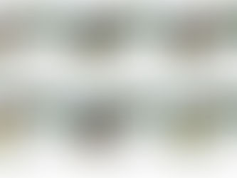 Gastreferenten im Film kennenlernen