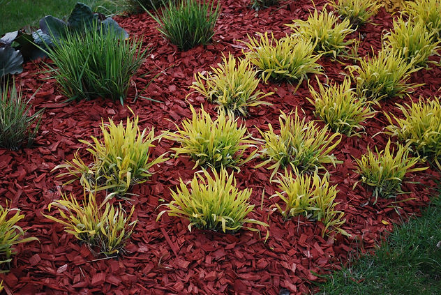 mulch.jpg