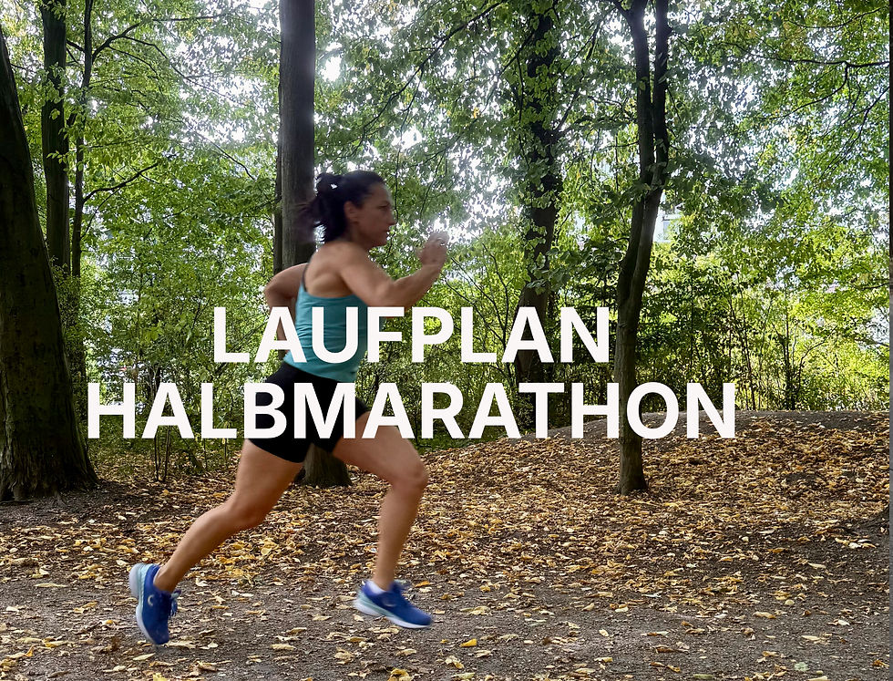 Laufplan Halbmarathon v2.jpg