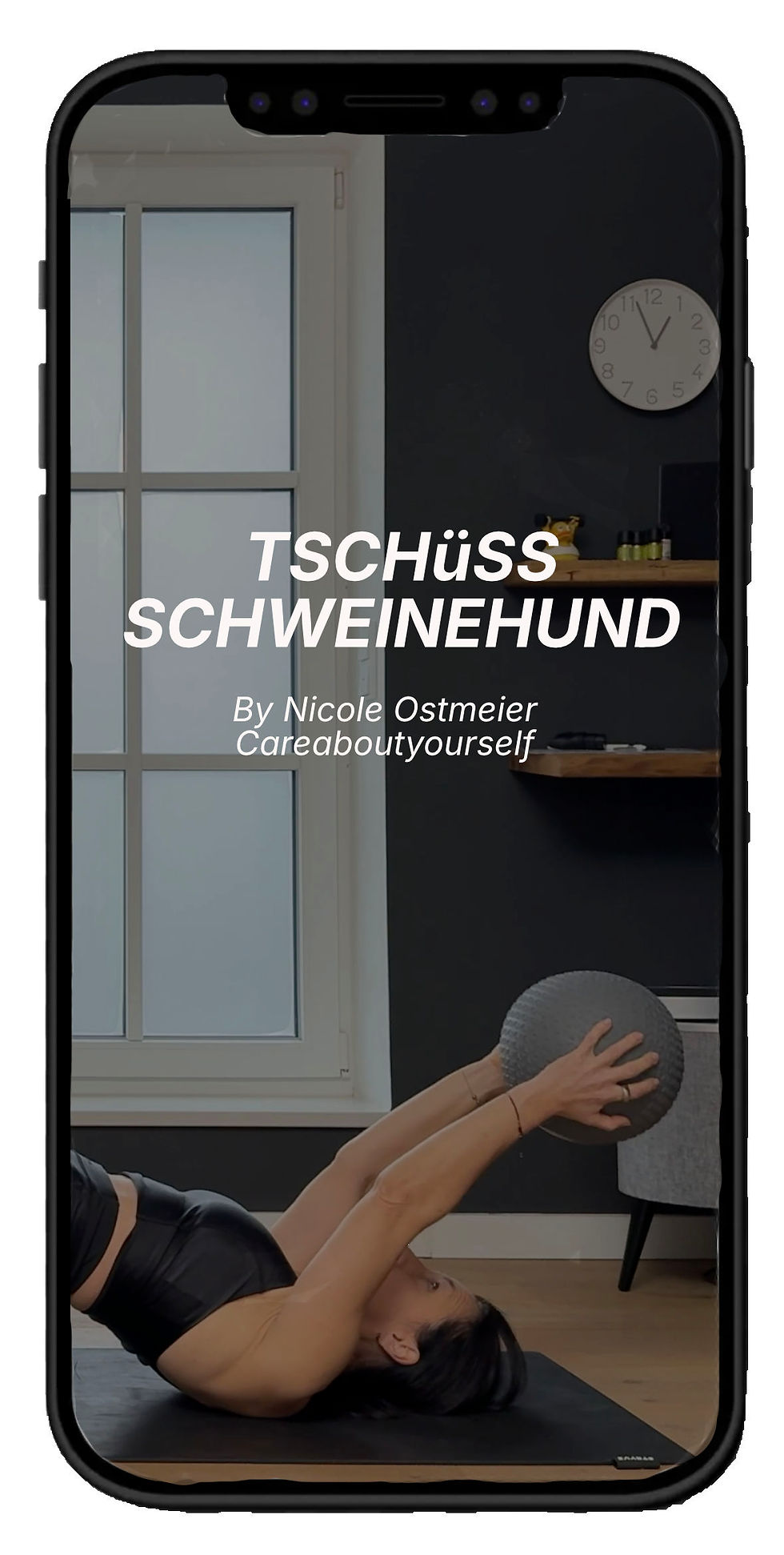 Tschüß Schweinehund handybild lr.jpg