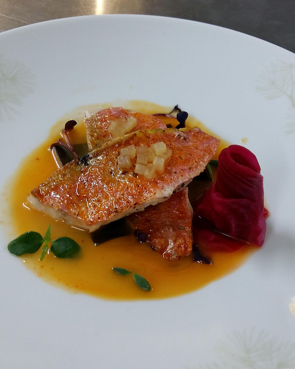 Mullet, yuzu miso and beetroot