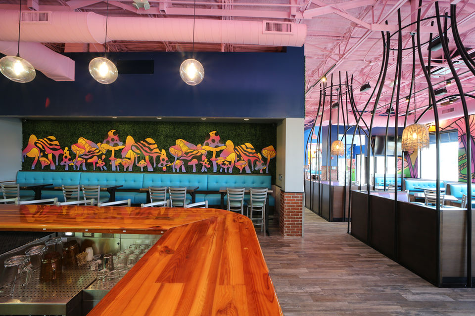 Mellow Mushroom - Mont Dora, FL
