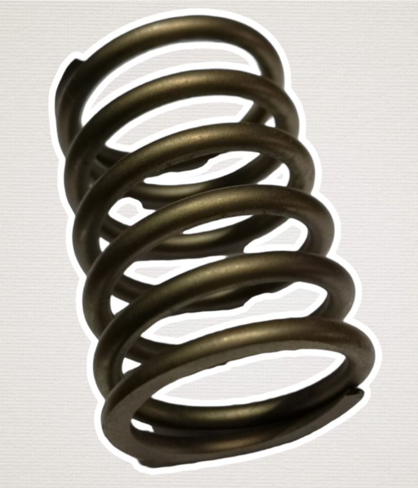 Valve Spring