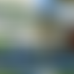 FOTM Auction 2026 Item Preview!
