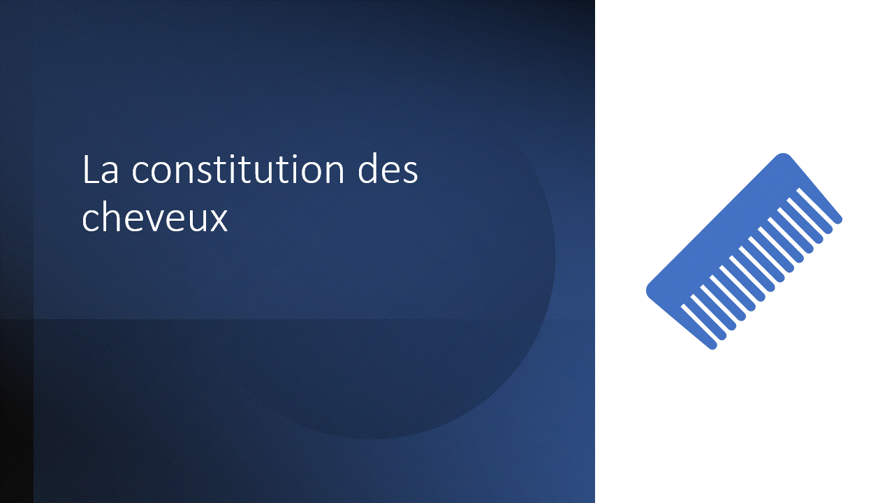 constitution des cheveux.gif