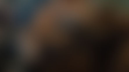 Uma Crônica Histórica sobre como o "Sonho Americano" sempre foi para poucos