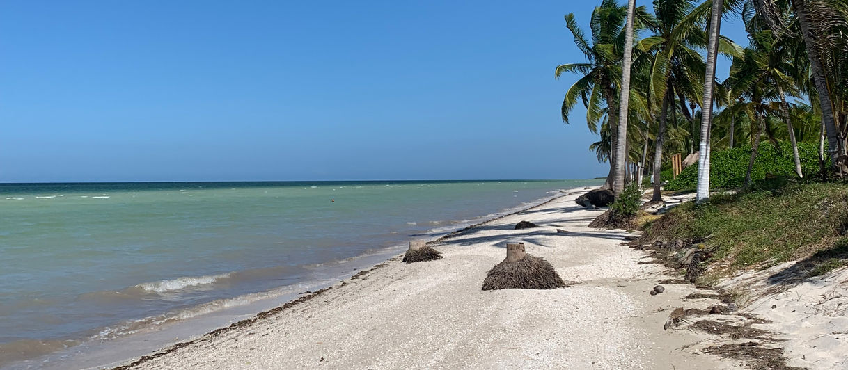 Playa Telchac Puerto