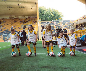 Wolves FC Young Wolves