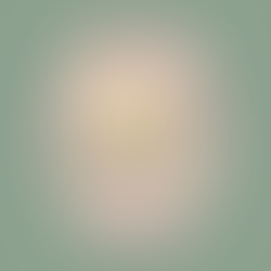 médaillon avec étoile souriante et militante