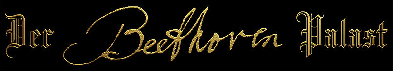 Der Beethoven Palast_3.jpg