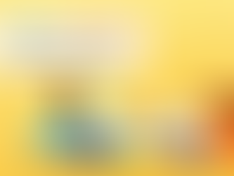 Native vs. Cross-Platform: What Charlotte Startups Are Choosing in 2026