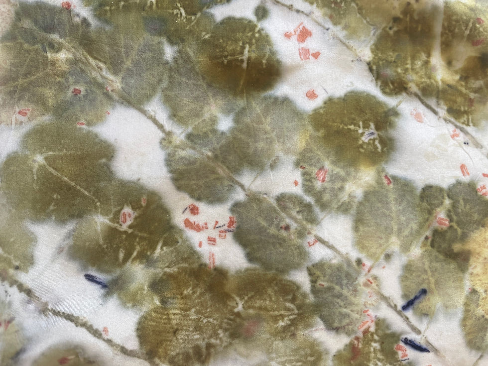 Miniatura: Pañuelo Seda #339