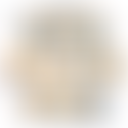 Bash's Quests 🔥 What kind of dragon would you be?