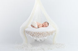 Newborn Photographer Portsmouth