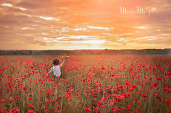 Outdoor Photographer Hampshire