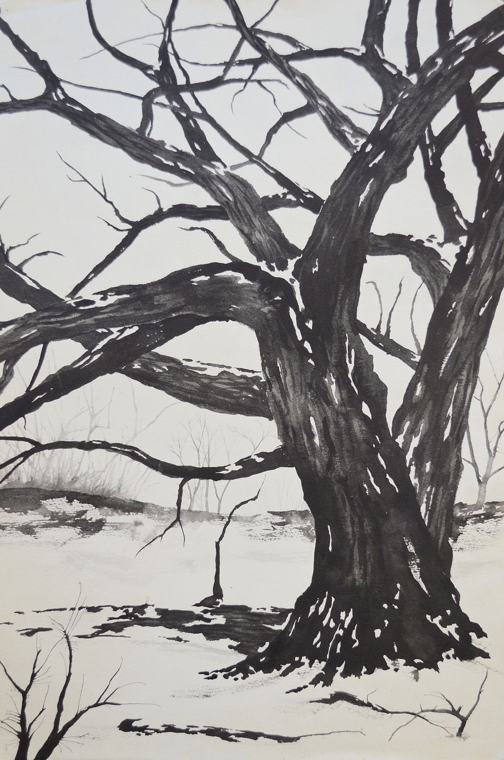 Winter Landscape