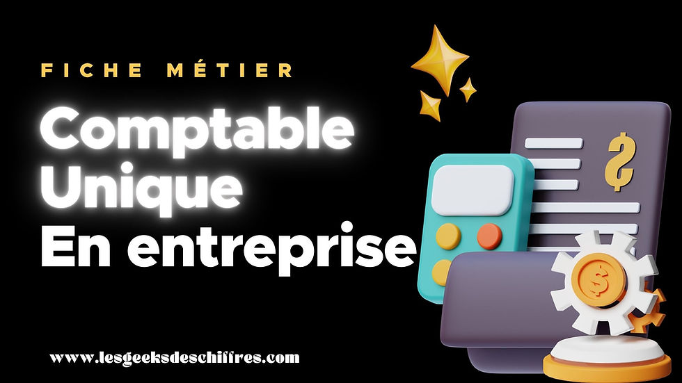 Fiche métier : comptable unique