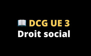 Programme UE 3 DCG - Droit Social