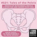 Tales of the Pelvis