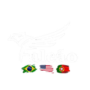 arte 2 falcao.png