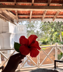 Balcony Suite 3